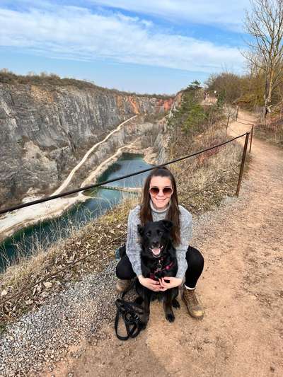 Hundetreffen-Social Walk/ Hundebegegnung-Bild