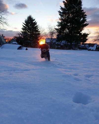 Dogorama Photo Challenge - Es wird nochmal kalt!-Beitrag-Bild