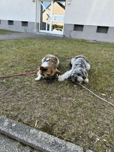 Was hat euch heute gefreut?-Beitrag-Bild