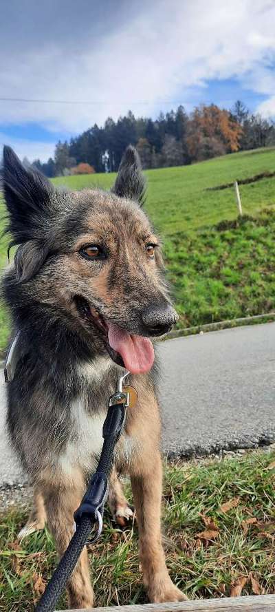 Die graue Eminenz-Beitrag-Bild