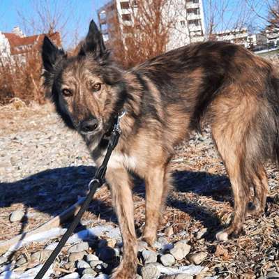 Fotochallenge No. 26                                     Wald und Wiese-Beitrag-Bild