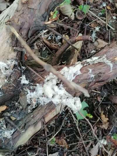 was ist das?-Beitrag-Bild