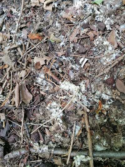 was ist das?-Beitrag-Bild