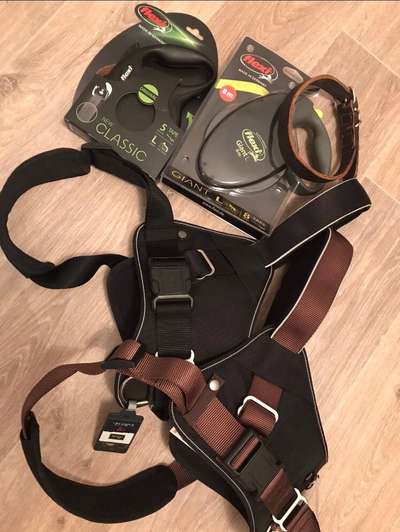 Hunde Zubehör für große Hunde-Beitrag-Bild