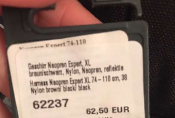 Hunde Zubehör für große Hunde-Beitrag-Bild