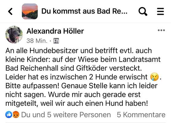 Giftköder-Giftköder beim Landratsamt Rhall-Bild