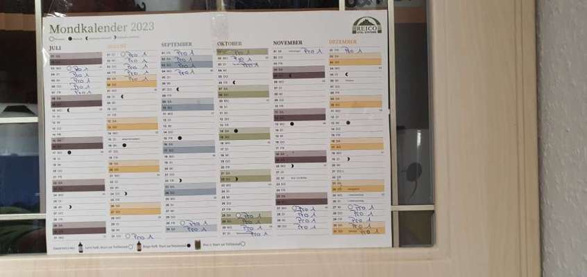 Welpen Aufzuchtfutter von Reico evtl. Ursache für Durchfall-Beitrag-Bild