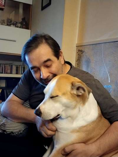 Auslandstierschutz-Beitrag-Bild