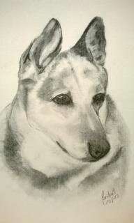 Hunde in Öl-Beitrag-Bild