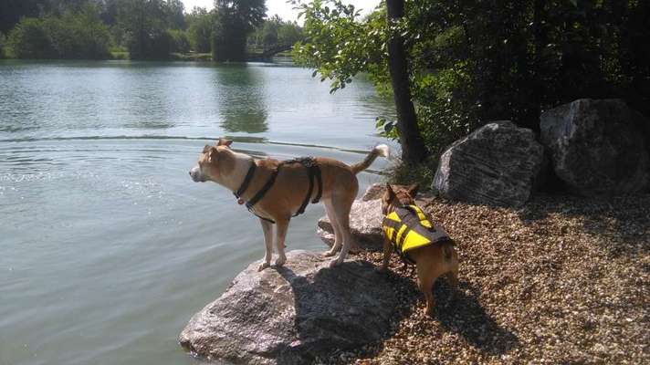 Was macht ihr am liebsten?-Beitrag-Bild