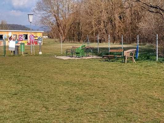 Hundeauslaufgebiet-Loosdorf (Melk)-Bild