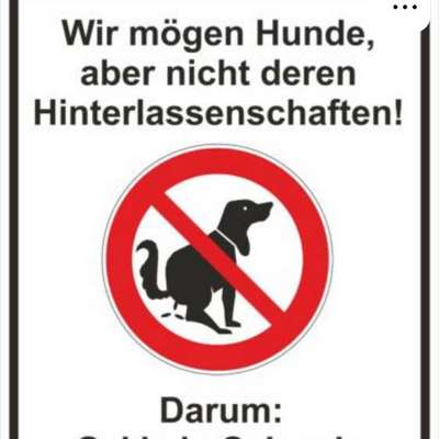 Wohin man sieht - Hundehaufen-Beitrag-Bild
