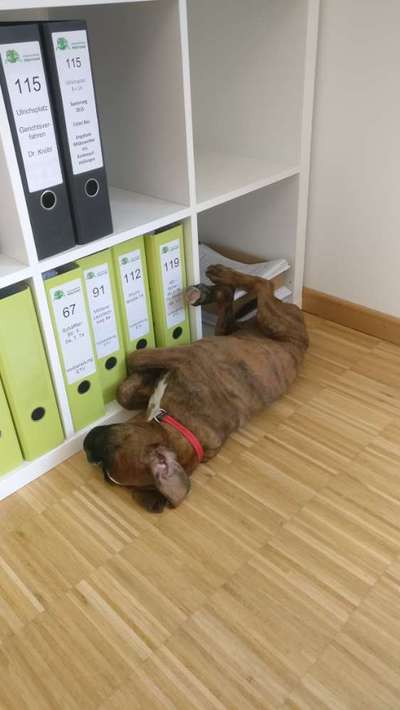 Zeigt her...-Beitrag-Bild