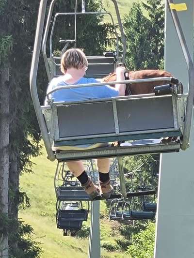 Sessellift mit Hund-Beitrag-Bild