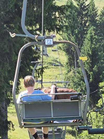 Sessellift mit Hund-Beitrag-Bild