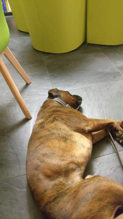 Was hat euch heute gefreut?-Beitrag-Bild