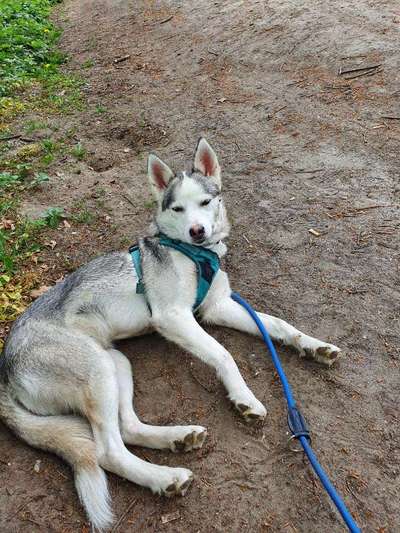 Lieblingsbild-Beitrag-Bild