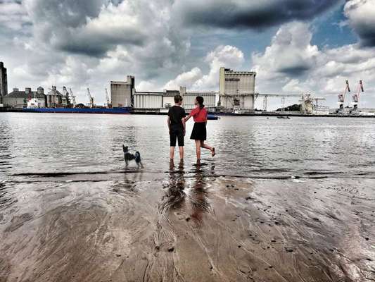 Foto Challenge - BEENDET - bitte aktuelle Challenge nutzen-Beitrag-Bild