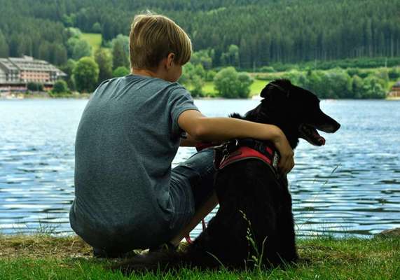 FOTOCHALLENGE 68: Dein Hund und sein bester Freund-Beitrag-Bild