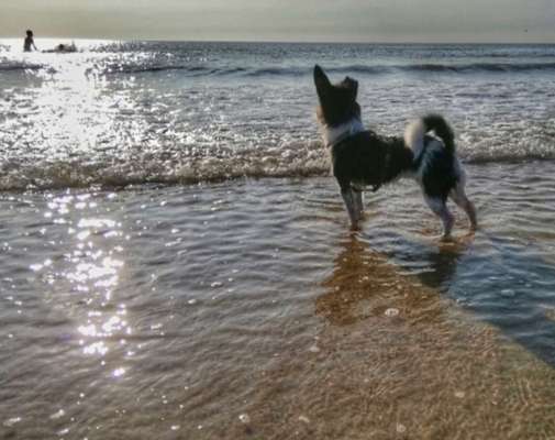 FOTOCHALLANGE NR.71 BADEFREUDE-Beitrag-Bild