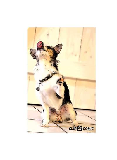Fotochallenge 124 - Dein Comic-Hund-Beitrag-Bild