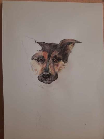 Zeichnungen Eurer Hunde !?-Beitrag-Bild