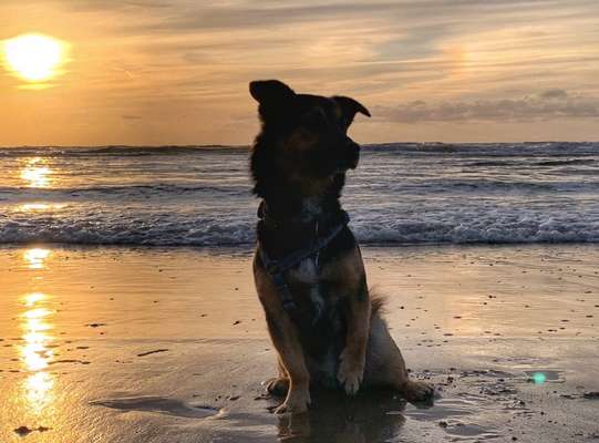 35. Handy Foto Challenge - Das nasse Element-Beitrag-Bild