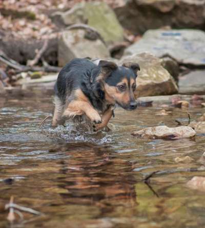 FOTOCHALLANGE NR.71 BADEFREUDE-Beitrag-Bild