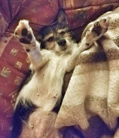 CHALLENGE NR. 34 - Liege-/Schlafpositionen-Beitrag-Bild