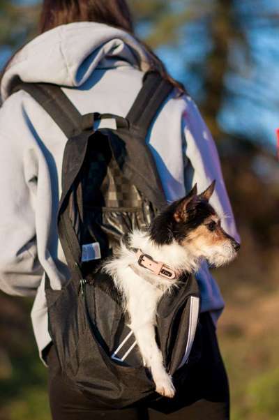 CHALLENGE NR. 18 - ON TOUR-Beitrag-Bild