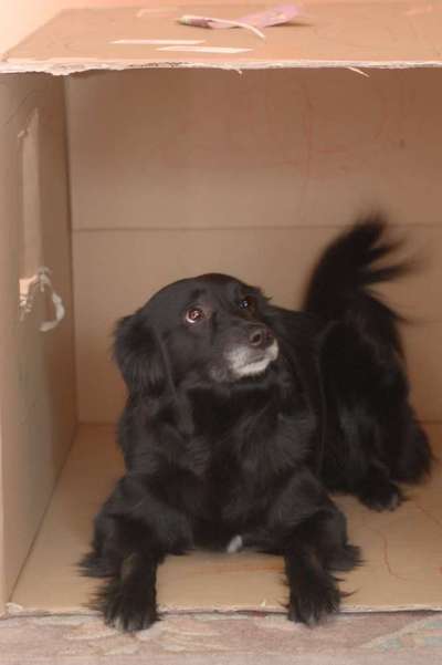 Challenge Nr 14
Eure Fellnasen auf ihrem Lieblingsplatz-Beitrag-Bild