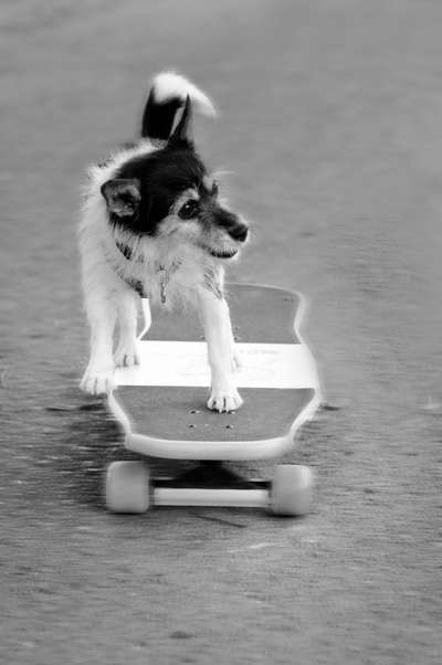 Foto-Challenge 76: Foto in Schwarz-Weiss-Beitrag-Bild