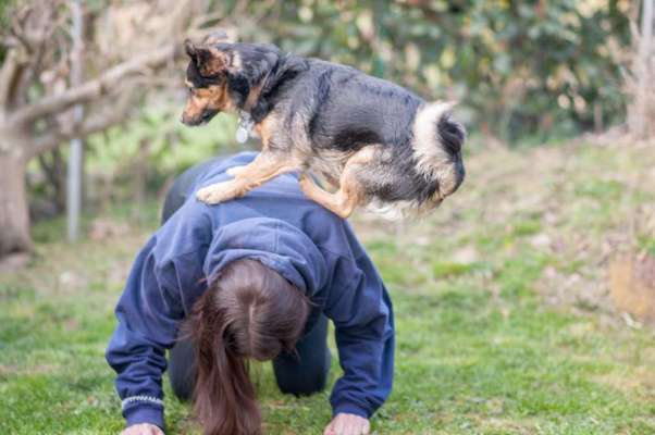 FOTOCHALLENGE:24  Thema: Hunde und ihre Tricks-Beitrag-Bild