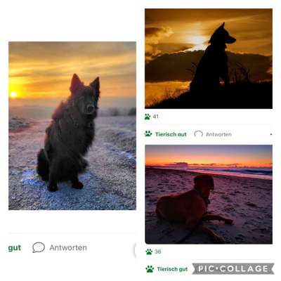Sonnenaufgänge oder - untergänge-Beitrag-Bild