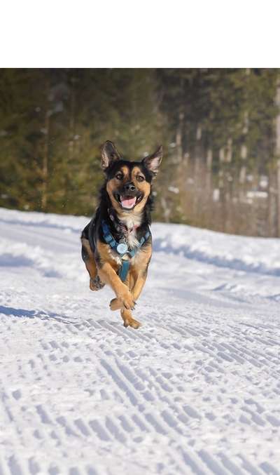 Fotochallenge Nr.105  Glücksmomente-Beitrag-Bild