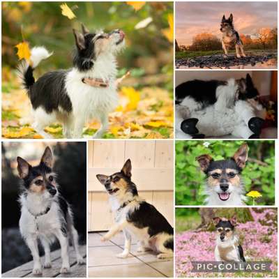 22. Collagen Challenge- Lebensfreude-Beitrag-Bild