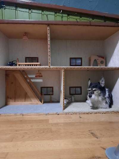 Challenge Nr 14
Eure Fellnasen auf ihrem Lieblingsplatz-Beitrag-Bild