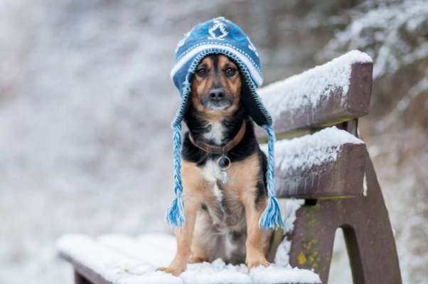 Fotochallenge 61 ~ Schnee-Beitrag-Bild