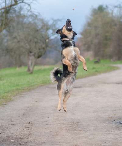 Fotochallenge Nr. 52 „Spring!“-Beitrag-Bild