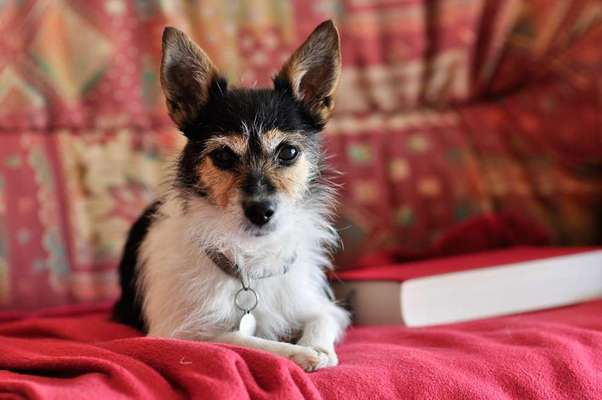 Richtig gutes Buch???-Beitrag-Bild