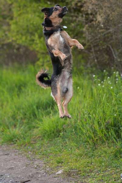 Fotochallenge Nr.65-Beitrag-Bild