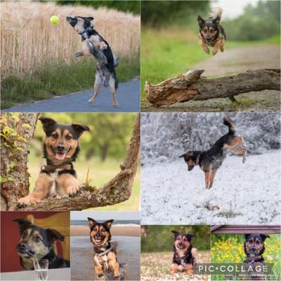 22. Collagen Challenge- Lebensfreude-Beitrag-Bild