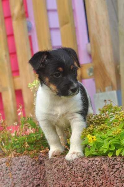 Foto Challenge 3-Beitrag-Bild