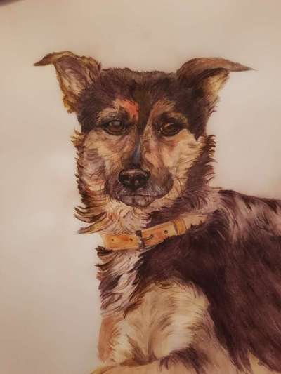 Zeichnungen Eurer Hunde !?-Beitrag-Bild