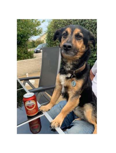 15. Handyfoto Challenge - Indoor Aktivitäten-Beitrag-Bild