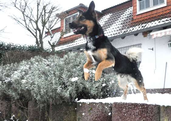 Un...scharf Bilder-Beitrag-Bild