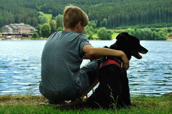 Unsere Sternchen ******-Beitrag-Bild