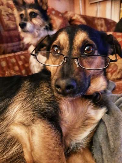 Fotochallenge No. 5-Beitrag-Bild