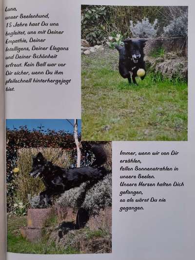 Unsere Sternchen ******-Beitrag-Bild