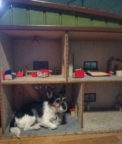 Fotochallenge No. 5-Beitrag-Bild